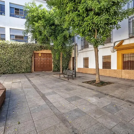 Апартаменти Apto Dona Engracia En El Casco Historico